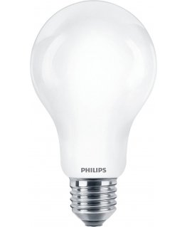 Philips Kaitinimo lemputė matinė, 120 W A67 E27