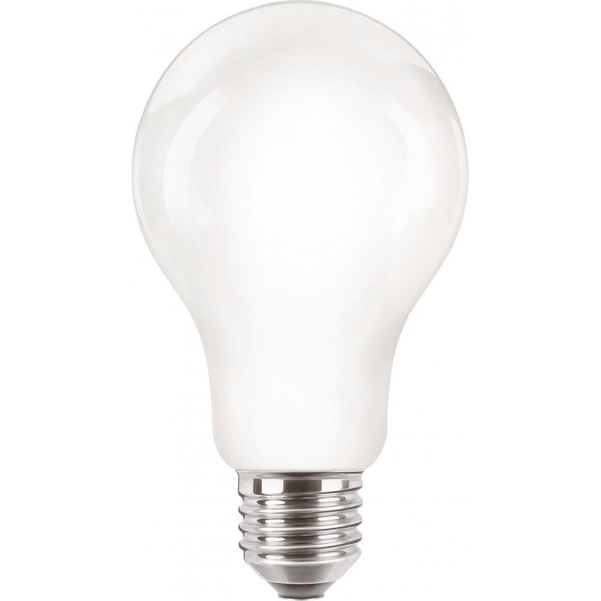 Philips Kaitinimo lemputė matinė, 120 W A67 E27 – 2
