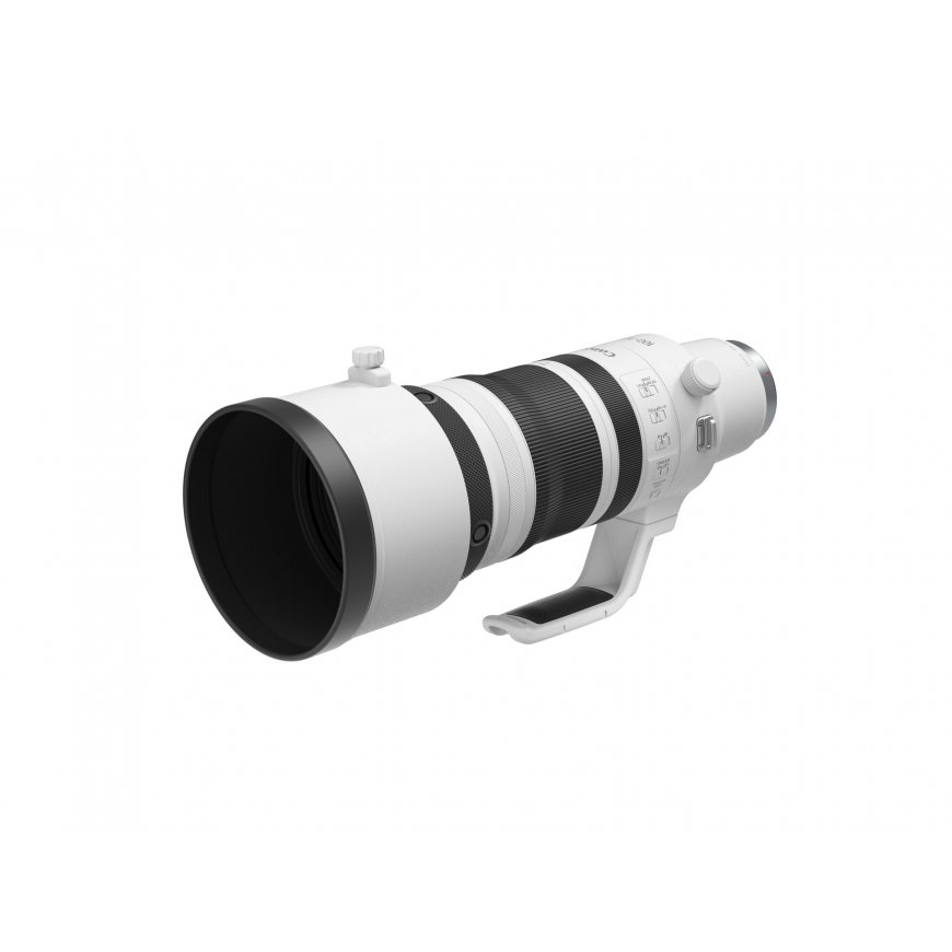 Canon RF 100-300mm F2.8 L