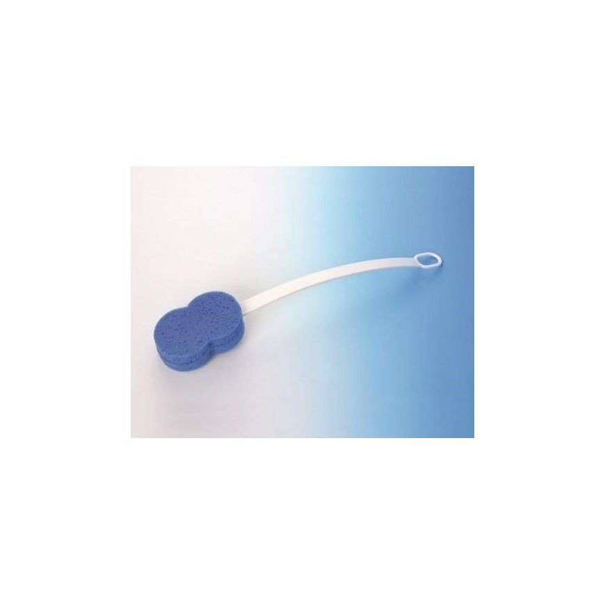 Sponge on the handle – 2