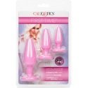 Calexotics Crystal Booty Kit Rožinė Calexotics Crystal Booty Kit Rožinė