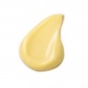 Dr. Hauschka Quince Day Cream Dr. Hauschka Quince Day Cream