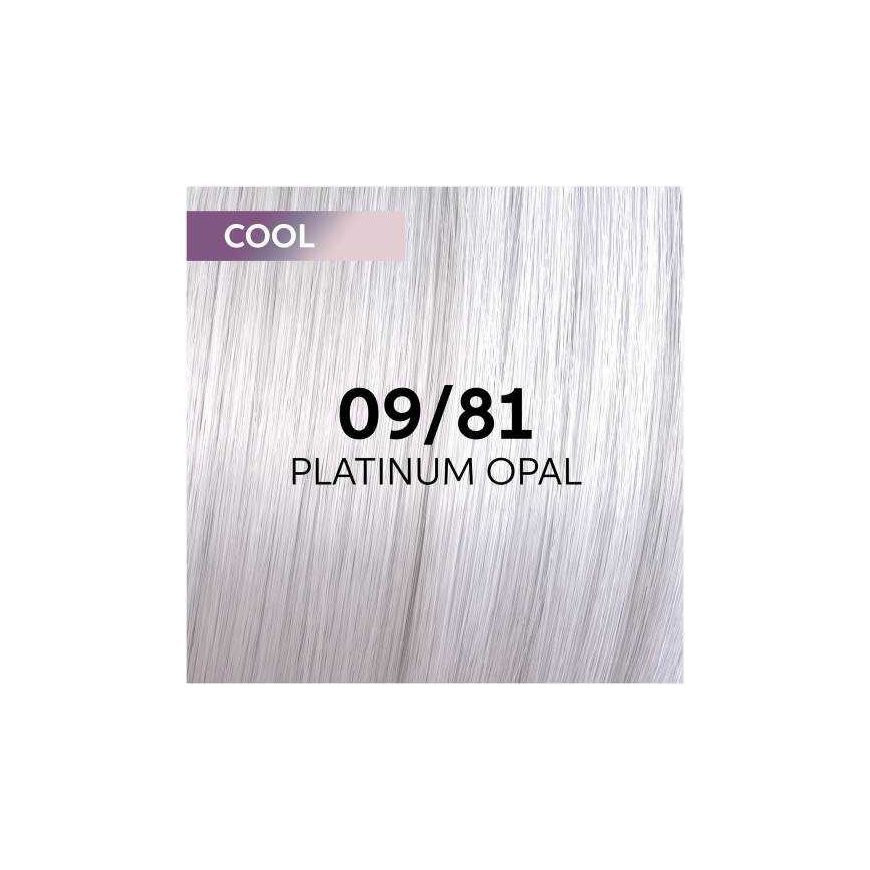 Plaukų dažai Wella Professionals Shinefinity Glaze 60ml