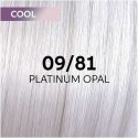 Hair dye Wella Professionals Shinefinity Glaze 60ml