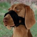 TRIXIE 19281 dog/cat muzzle TRIXIE 19281 dog/cat muzzle