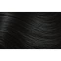 Naturtint Permanent 2.1 Blue Black