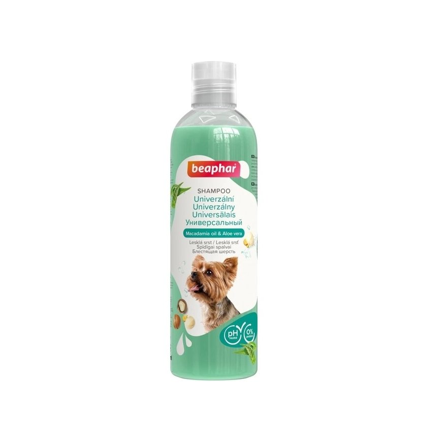 Shampoo for dogs : Beaphar Universal Shampoo Dogs, 250ml