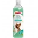Shampoo for dogs : Beaphar Universal Shampoo Dogs, 250ml