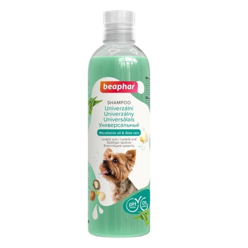 Shampoo for dogs : Beaphar Universal Shampoo Dogs, 250ml – 2