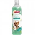 Shampoo for dogs : Beaphar Universal Shampoo Dogs, 250ml
