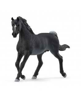 schleich HORSE CLUB Arabian Stallion - 13981