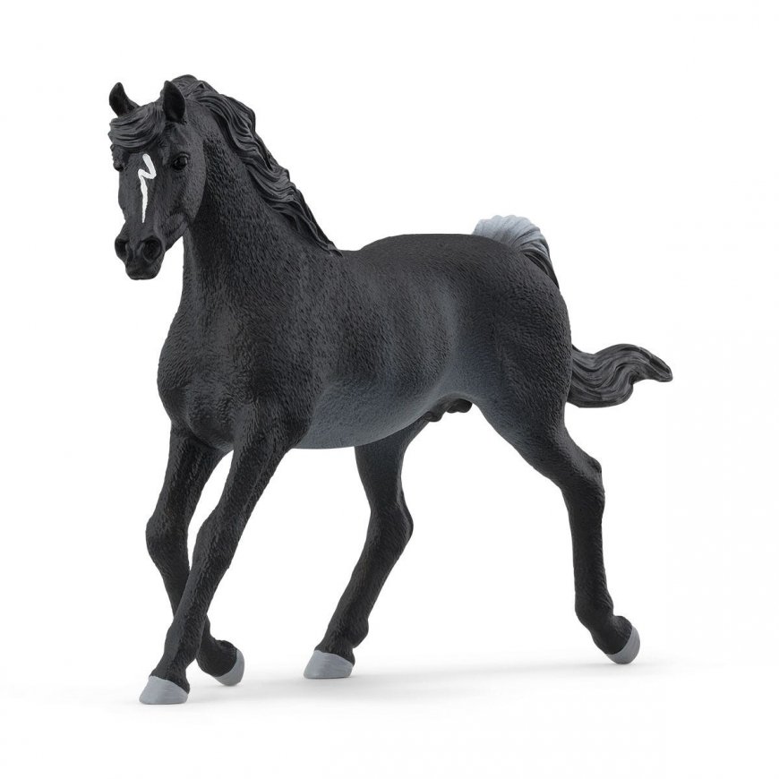 schleich HORSE CLUB 13981 žaislinė figūrėlė vaikams