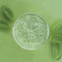 Dr Organic Aloe Vera Gel 200 ml Dušigeel Mõlemale soole sobiv Keha Dr Organic Aloe Vera Gel 200 ml Dušigeel Mõlemale soole sobiv Keha