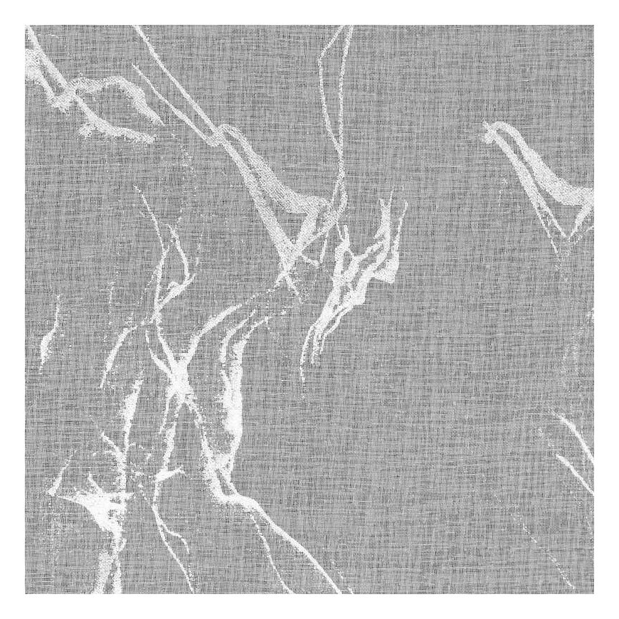Eurofirany FIR/ALINA/B+SR 140X270 T – 5