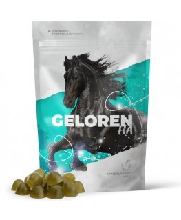 GELOREN Horse HA Joints - vitamins for horses - 450g