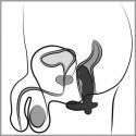 ANOS Cock shaped butt plug