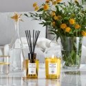 Acqua di Parma Insieme vaško žvakė Cilindras Gintaras, Citrina, Muskusas, Citrinmedžio žiedas Gelton Acqua di Parma Insieme vaško žvakė Cilindras Gintaras, Citrina, Muskusas, Citrinmedžio žiedas Gelton