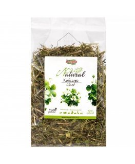 ALEGIA Natural Koniczyna suszona 100g