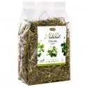 ALEGIA Natural Koniczyna suszona 100g