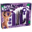 Orion Sex toys set "Forest Berries" Orion Sex toys set "Forest Berries"