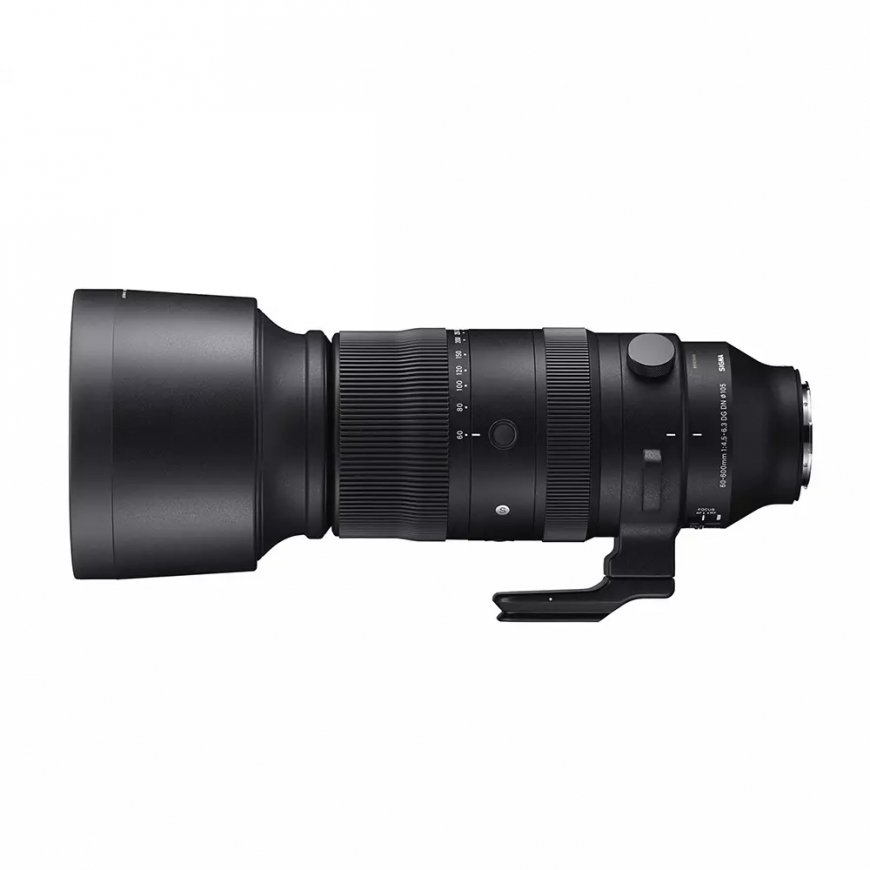 Sigma 60-600mm F4.5-6.3 DG