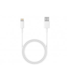 Tracer 47086 USB 2.0 iPhone AM Lightning 1m white