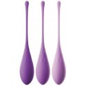 Pipedream FFH Kegel Train-Her Set Pipedream FFH Kegel Train-Her Set