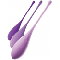 Pipedream FFH Kegel Train-Her Set Pipedream FFH Kegel Train-Her Set