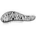 Dtangler Zebra White