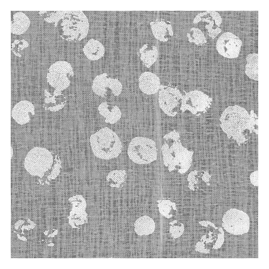 Eurofirany FIR/ALEXIS/B+SRE 140X260 PRZEL – 4