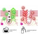 BeautyRelax Beauty Relax BR-1480 Peel&lift Smart - Ultrasound spatula BeautyRelax Beauty Relax BR-1480 Peel&lift Smart - Ultrasound spatula