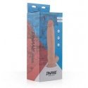 Easytoys Small World Easytoys Dildo-dwane realistic dildo