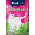 VITAKRAFT Cat Grass - grass seeds - 50g VITAKRAFT Cat Grass - grass seeds - 50g
