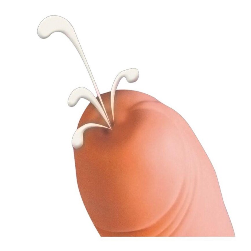 Orion Versand Phallus imitation "Spit" – 3