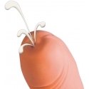 Orion Versand Phallus imitation "Spit" Orion Versand Phallus imitation "Spit"