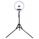 Puluz LED ring lamp 34.5cm