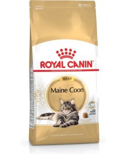 Royal Canin Maine Coon kissojen kuivamuona 4 kg Aikuinen
