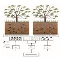 Fertiliser for plants that take up fertiliser through the root s Fertiliser for plants that take up fertiliser through the root s