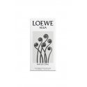 LOEWE Perfumes Agua Mar de Coral 100 ml Naisten