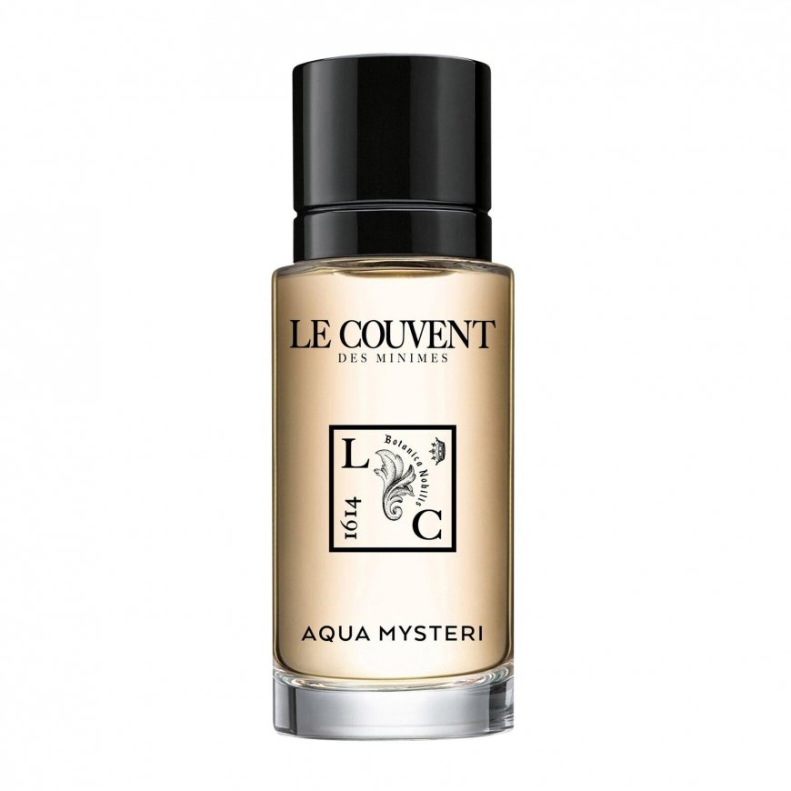 Le Couvent Le Couvent Des Minimes