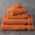 Towel Eurofirany RE/ABBIE/06/POMA 100X150 500