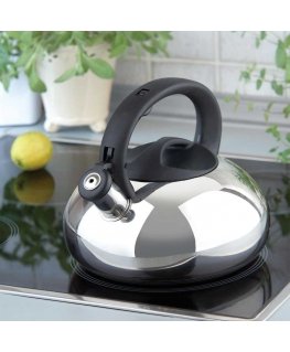 Dajar Kettle with whistle Melody 2.5 l shiny AMBITION
