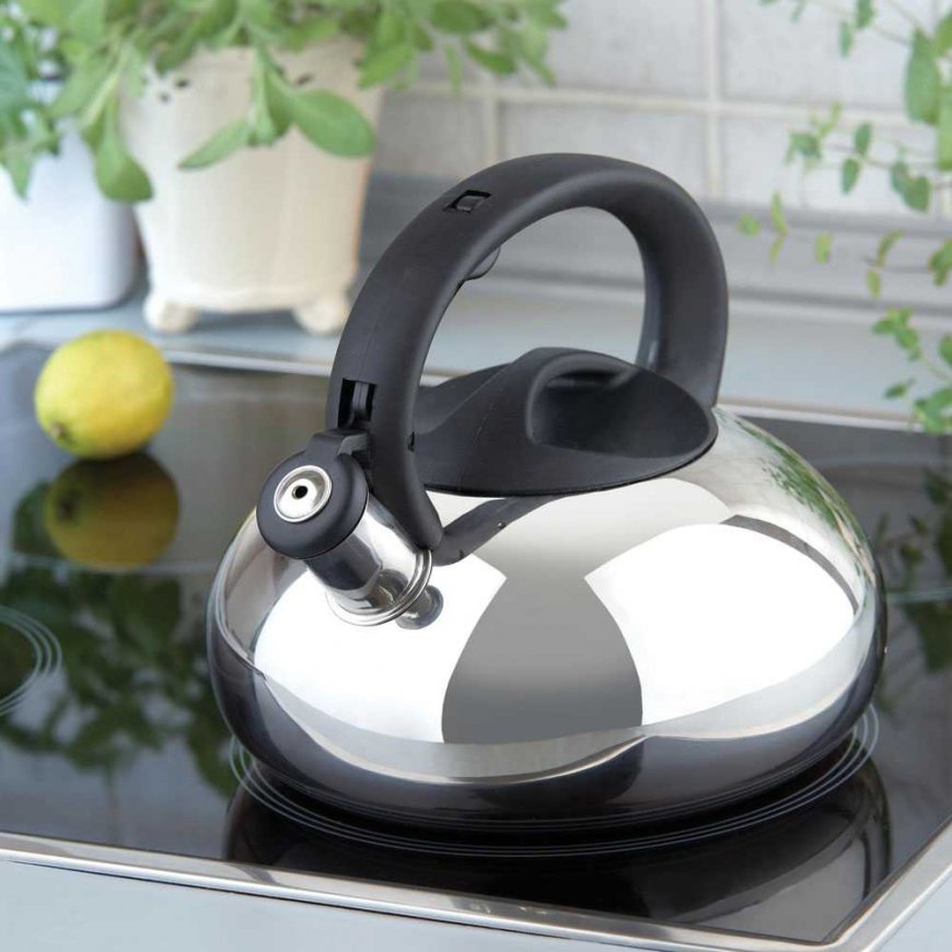 Dajar Kettle with whistle Melody 2.5 l shiny AMBITION