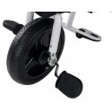 Lean Toys Rower Trójkołowy PRO300 Gray Lean Toys Rower Trójkołowy PRO300 Gray