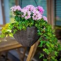 Rinkinys donic okrągłych 3-elementowy wenge PATIO