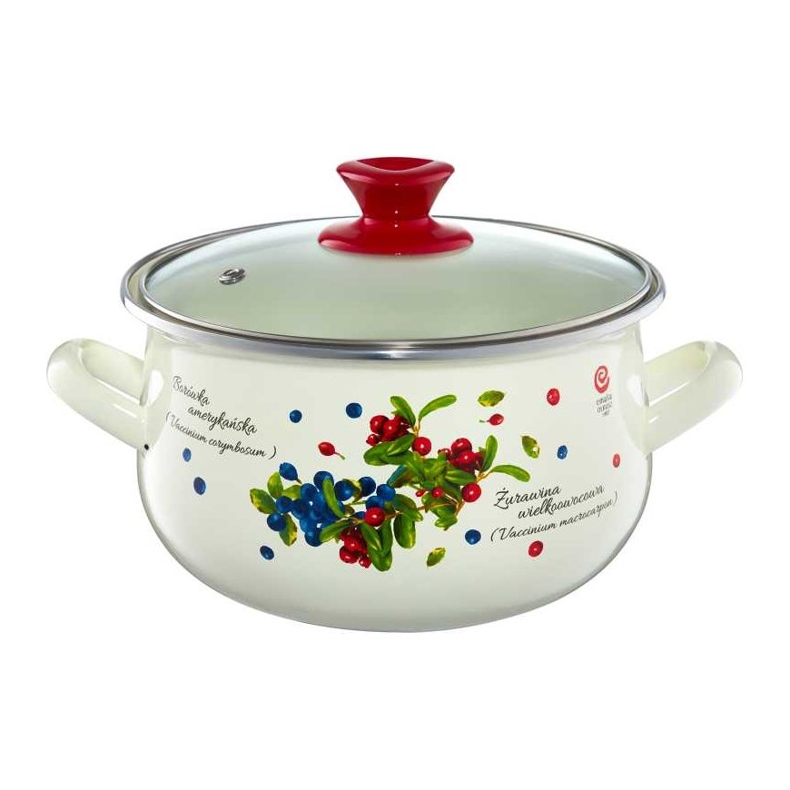Emalia Olkusz Enamel pot Borówka 3