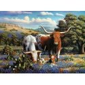 Ravensburger Loving Longhorns Kuviopalapeli 500 kpl Eläimet Ravensburger Loving Longhorns Kuviopalapeli 500 kpl Eläimet