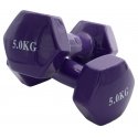 Sanro Vinyl dumbbells KP-036 2x5kg Sanro Vinyl dumbbells KP-036 2x5kg
