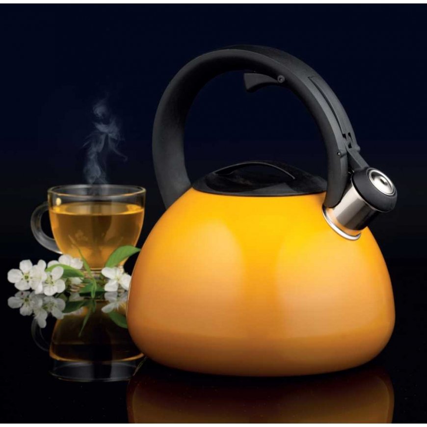 Kettle with whistle Ombre 3 l mustard AMBITION