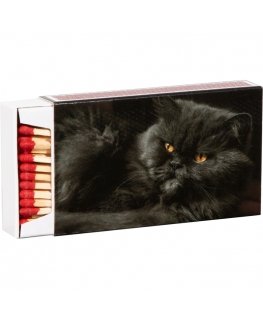 Matches 10cm 55 pcs. in box